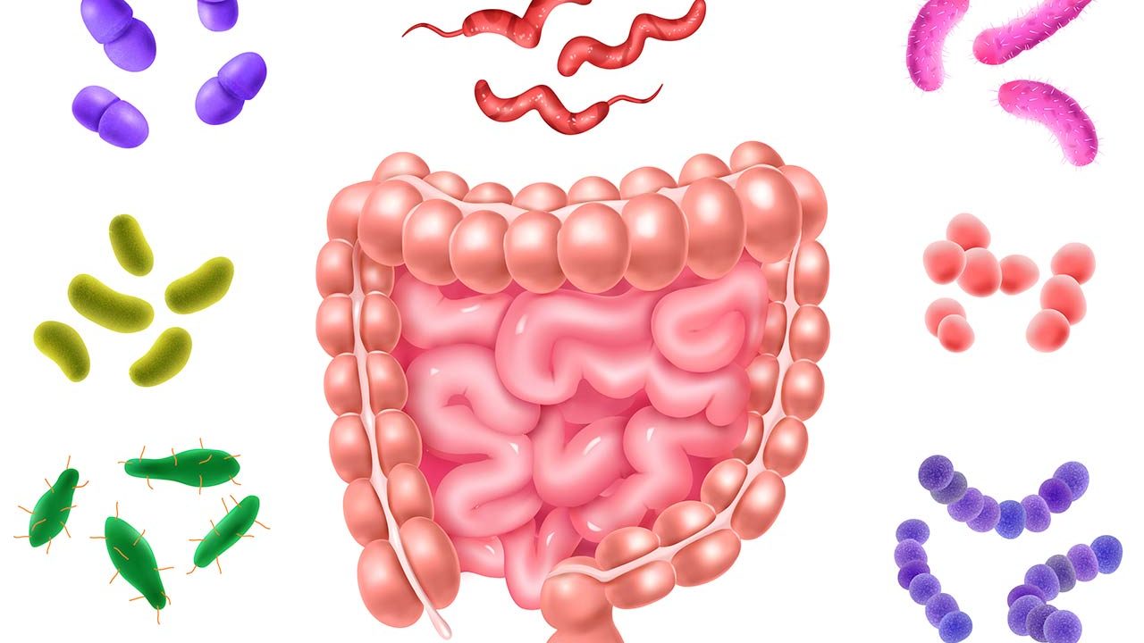 Imagem retratando bacterias no estômago.